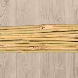 Bamboo Canes (60cm) | Plant Protection 